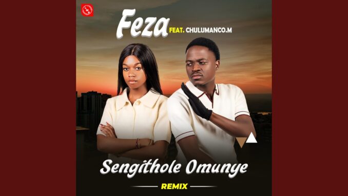 feza sengithole omunye remix ft chulumanco